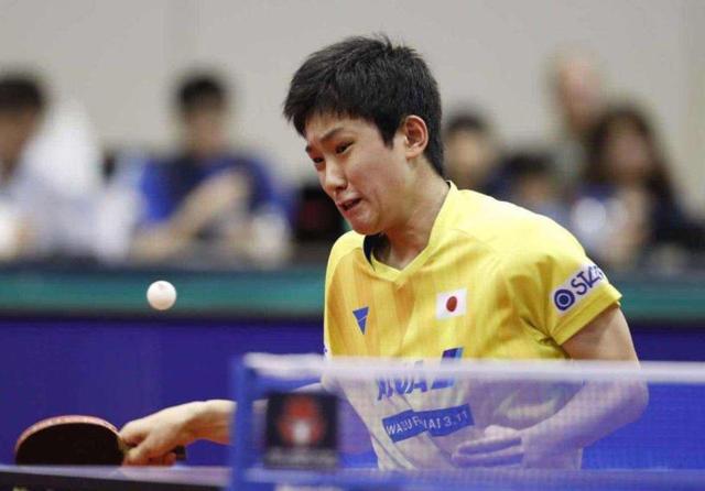 这份支持不 这份支持不