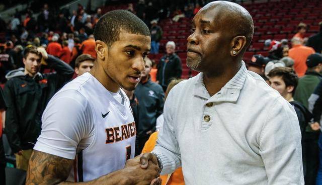 他以素质全 他以素质全